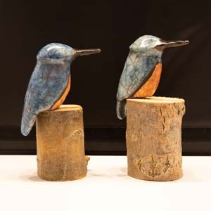 2 ijsvogeltjes.